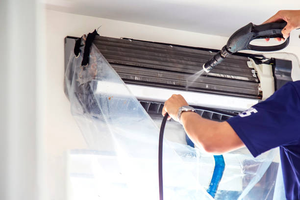 Air Duct Mold Removal in DE