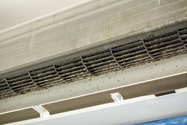 Best Affordable HVAC Duct Cleaning  in Long Neck, DE