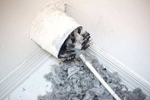 Best Local Air Duct Cleaning Services  in Long Neck, DE