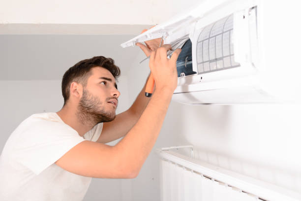 Best Air Duct Mold Removal  in Long Neck, DE